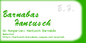 barnabas hantusch business card